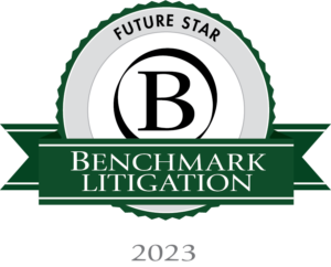 Benchmark Litigation